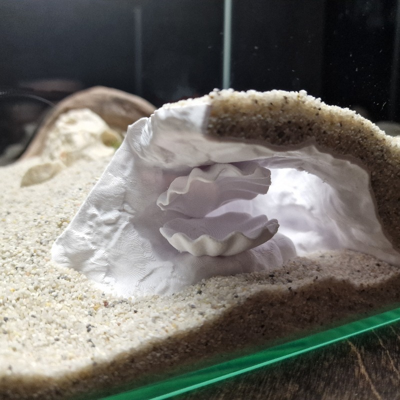 Hidden Shell Fish Tank Cave 3D - Aquarium Planet 评论和价格