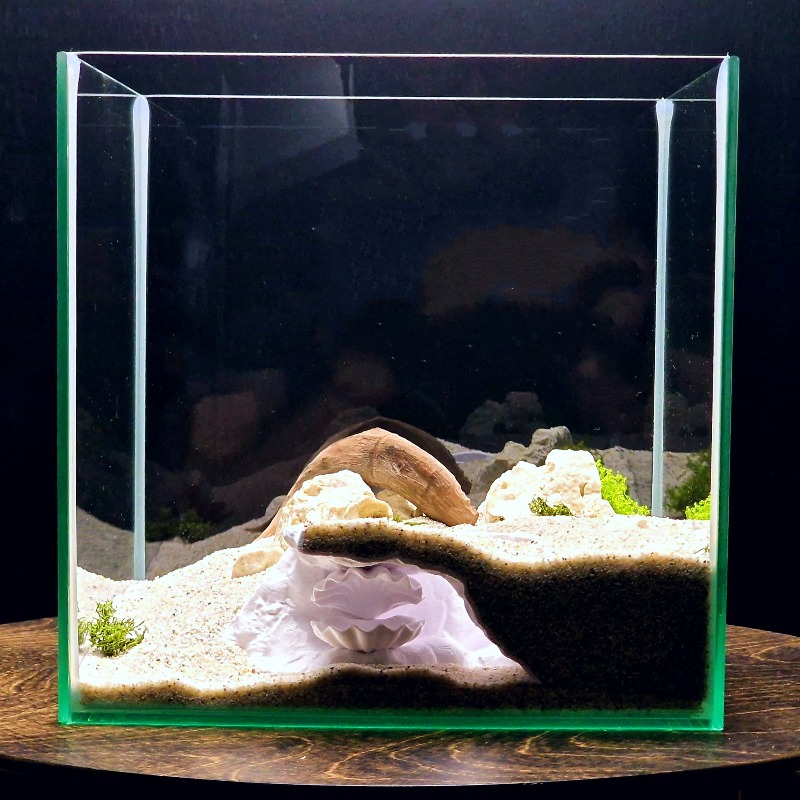 Hidden Shell Fish Tank Cave 3D - Aquarium Planet 评论和价格