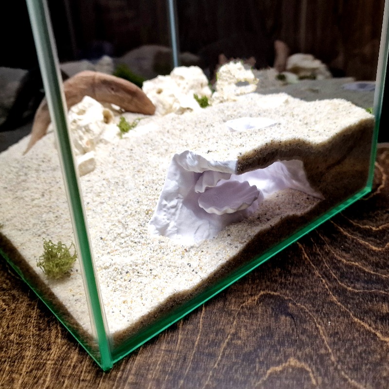 Hidden Shell Fish Tank Cave 3D - Aquarium Planet 评论和价格