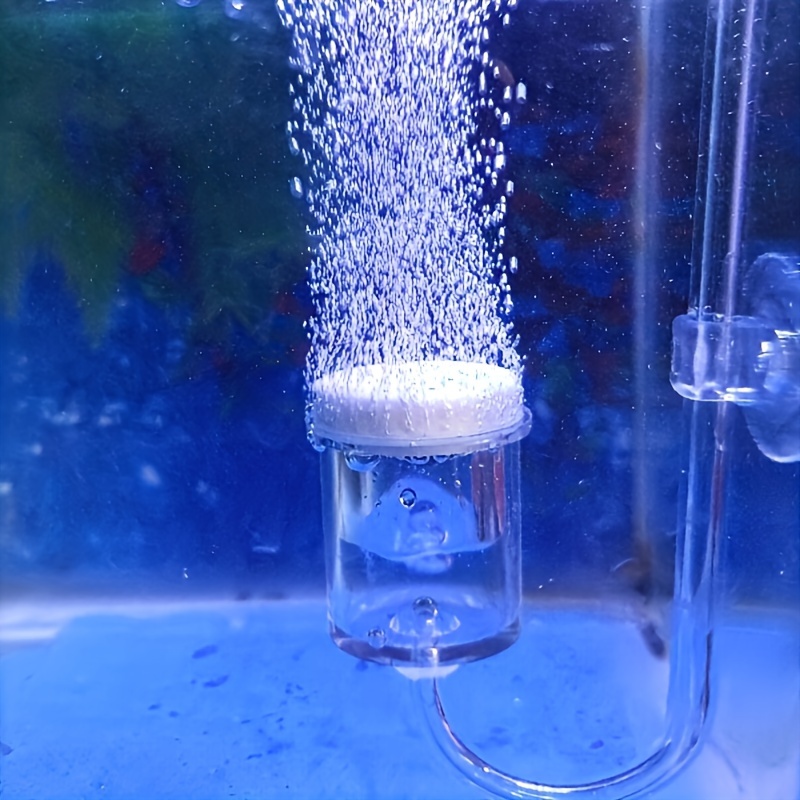 Aquarium Glass CO2 Atomizer Di - Aquarium Planting Ideas 评论和价格