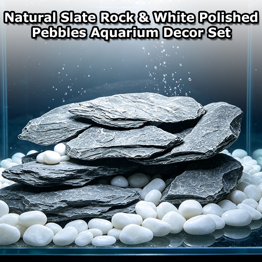 400g Aquarium Decor Set Stacka - Aquarium Sand White 评论和价格