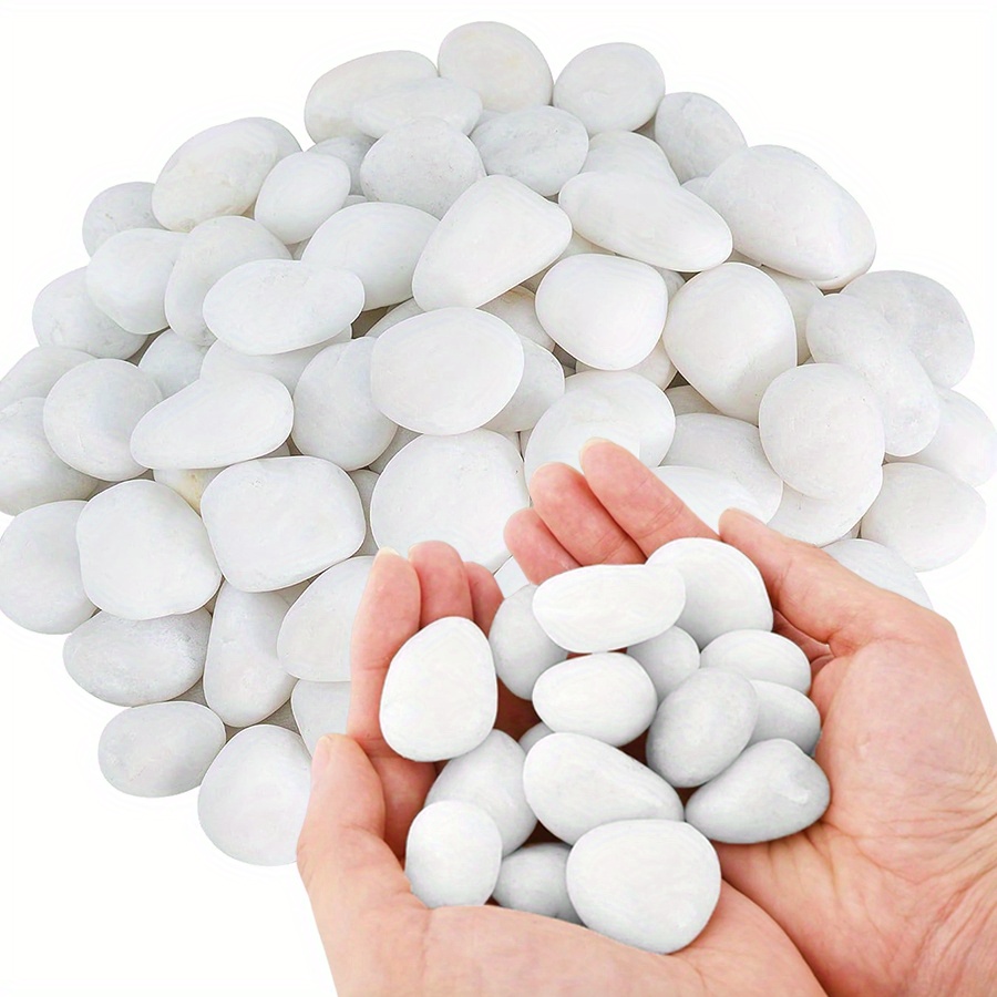 200/400g White High Polished N - Aquarium Plants 评论和价格