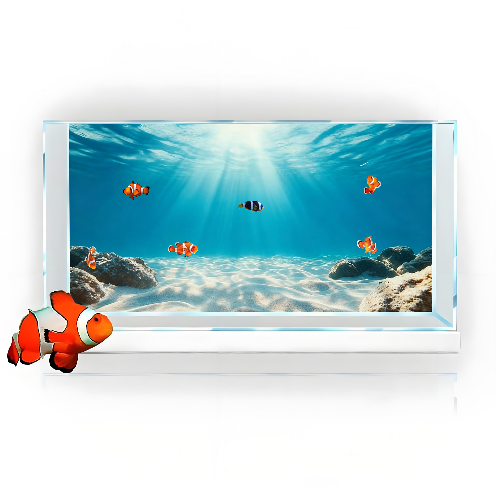 Blue Sea Clear Sand, Fish Tank - Aquarium Planet 评论和价格