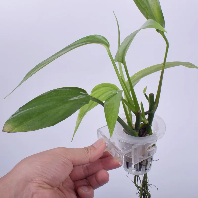 Aquatic Plant Hanging Holder A - Aquarium Planet 评论和价格