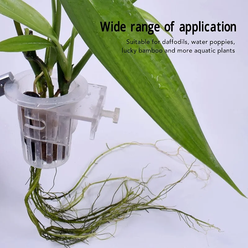 Aquatic Plant Hanging Holder A - Aquarium Planet 评论和价格