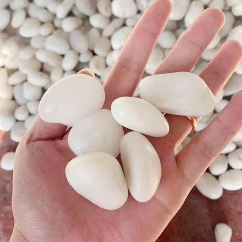 Natural White Polished River R - Aquarium Sand White 评论和价格