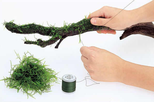 Degradable Aquarium Driftwood  - Aquarium Plant Echinodorus 评论和价格