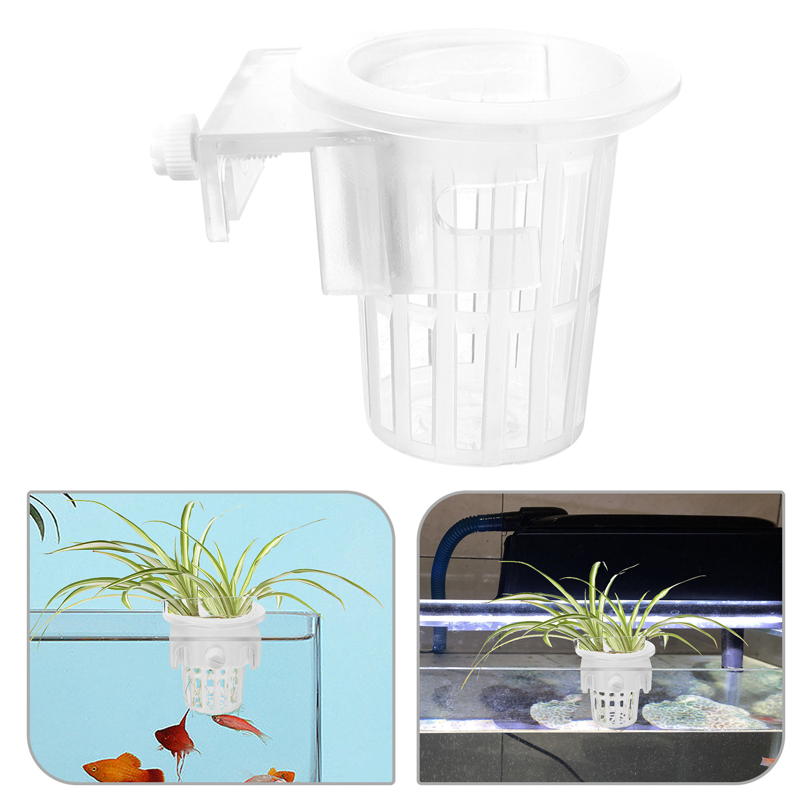 6Pcs Aquarium Hydroponic Baske - Aquarium Planted Wall 评论和价格