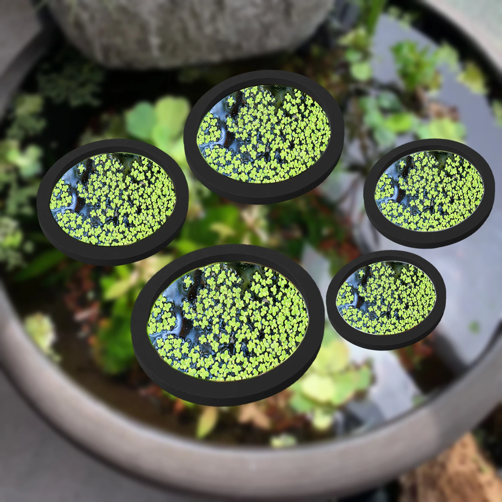 5Pcs EVA Fish Feeding Ring Aqu - Aquarium Plants 评论和价格