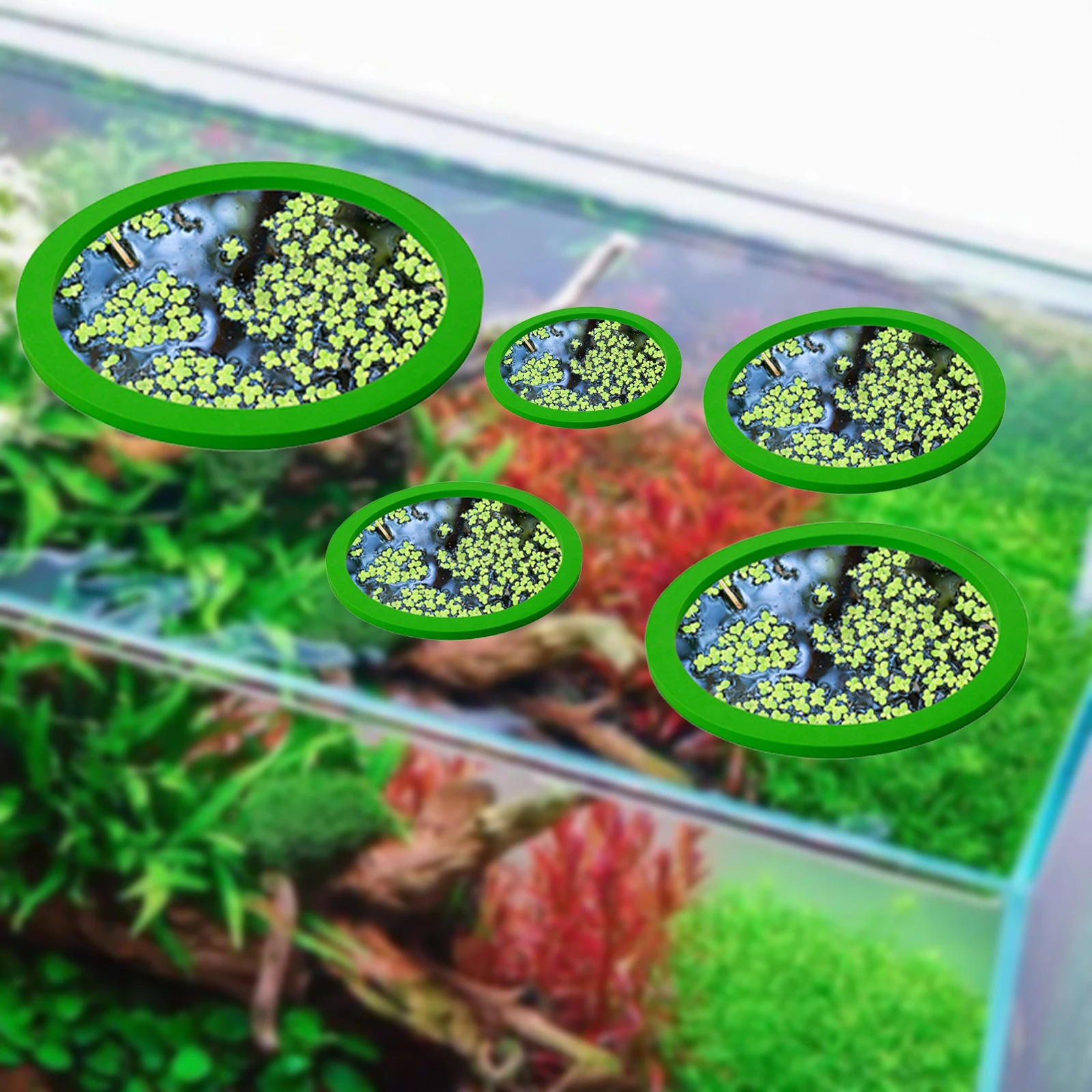 5Pcs EVA Fish Feeding Ring Aqu - Aquarium Plants 评论和价格