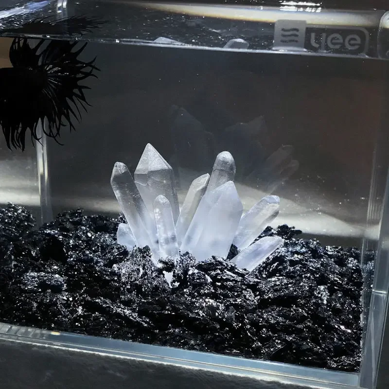 Creative Betta Tank Decor Clea - Aquarium Planet 评论和价格