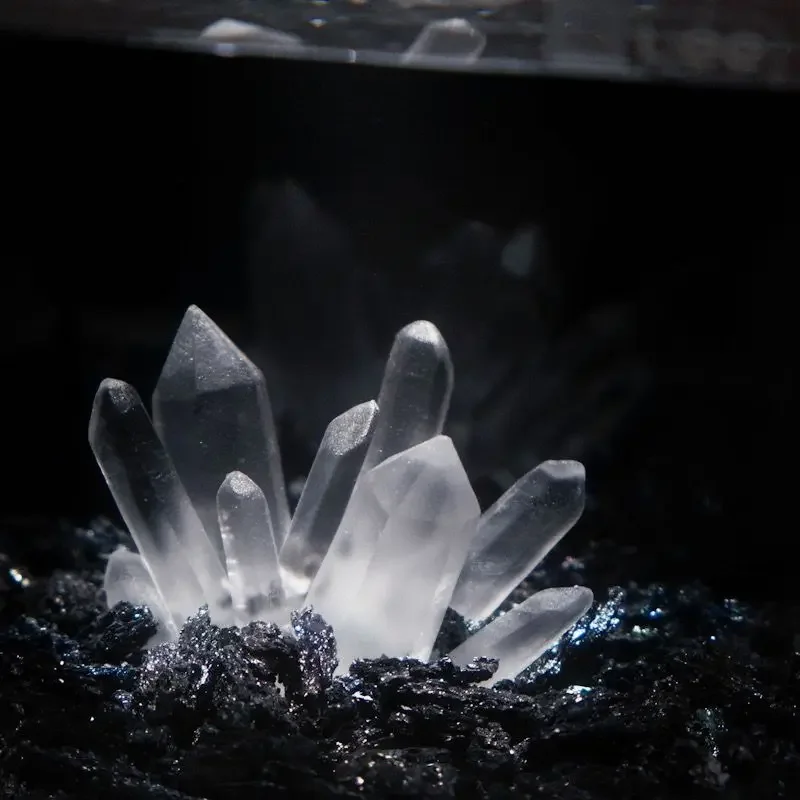 Creative Betta Tank Decor Clea - Aquarium Planet 评论和价格