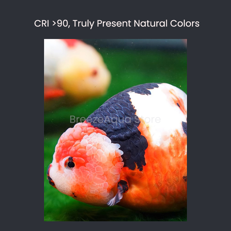 MAYIN Super Colour 100W Freshw - Planted Aquarium Algae 评论和价格