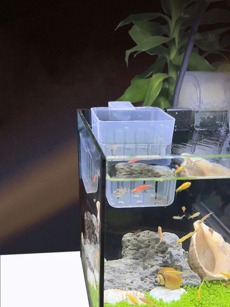 Aquarium Transparent Hydroponi - Aquarium Planted Wall 评论和价格