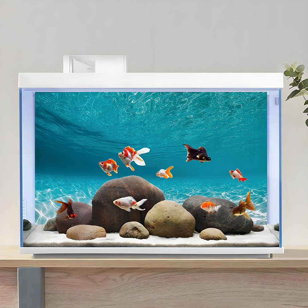 Sunshine white sand，Fish tank  - Aquarium Sand White 评论和价格