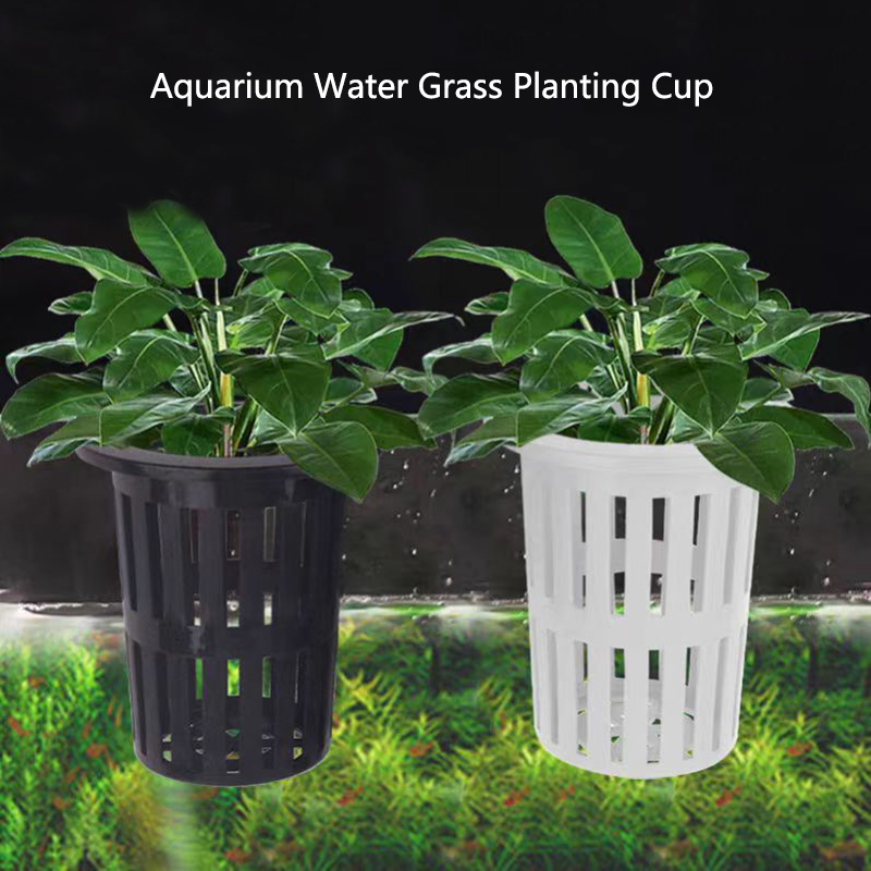 1/3Pcs Aquarium Plant Basket W - Aquarium Planted Wall 评论和价格