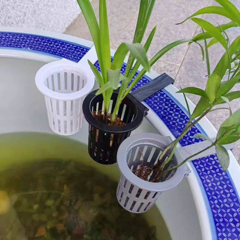1/3Pcs Aquarium Plant Basket W - Aquarium Planted Wall 评论和价格