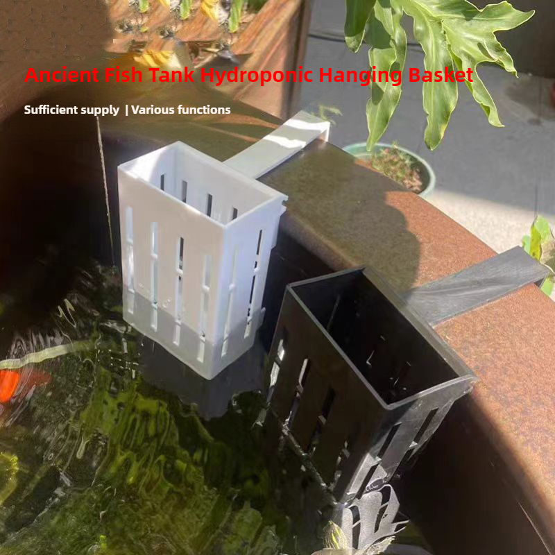 1/3Pcs Aquarium Plant Basket W - Aquarium Planted Wall 评论和价格