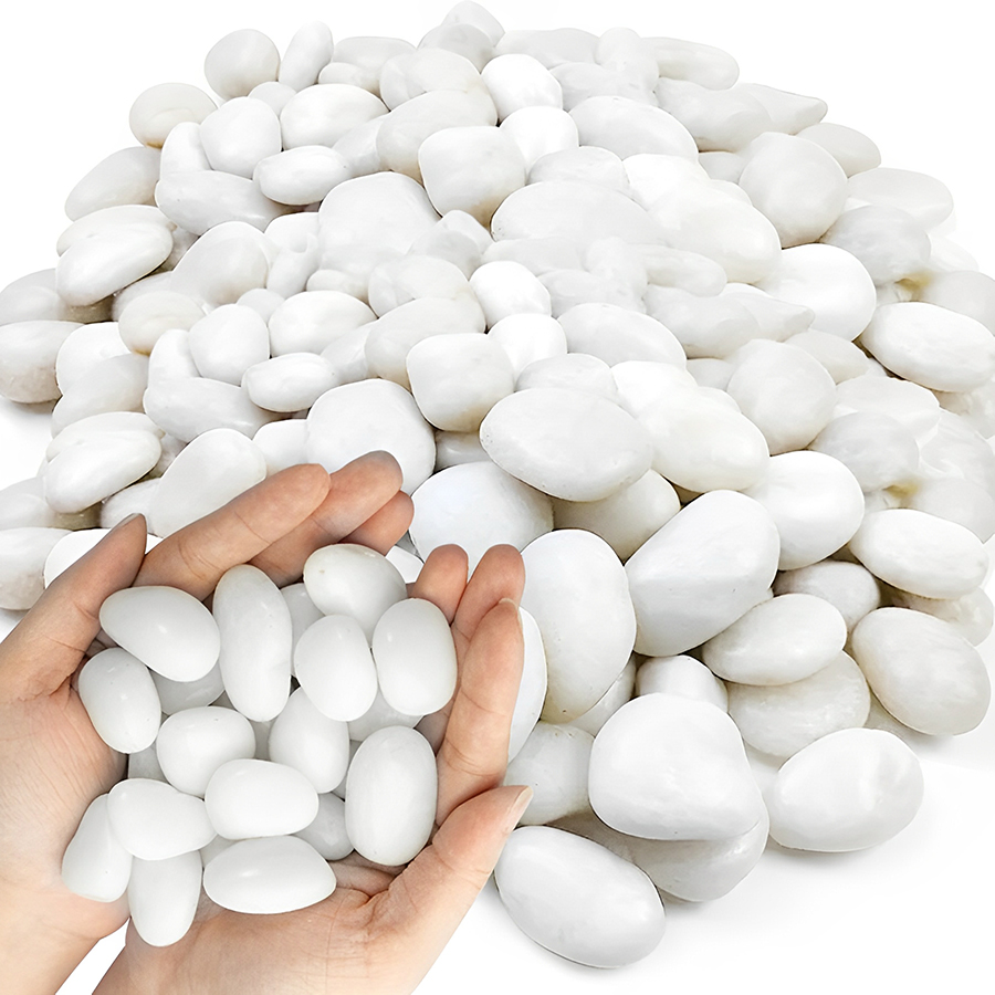 1/2Lb White Polished Aquarium  - Aquarium Sand White 评论和价格
