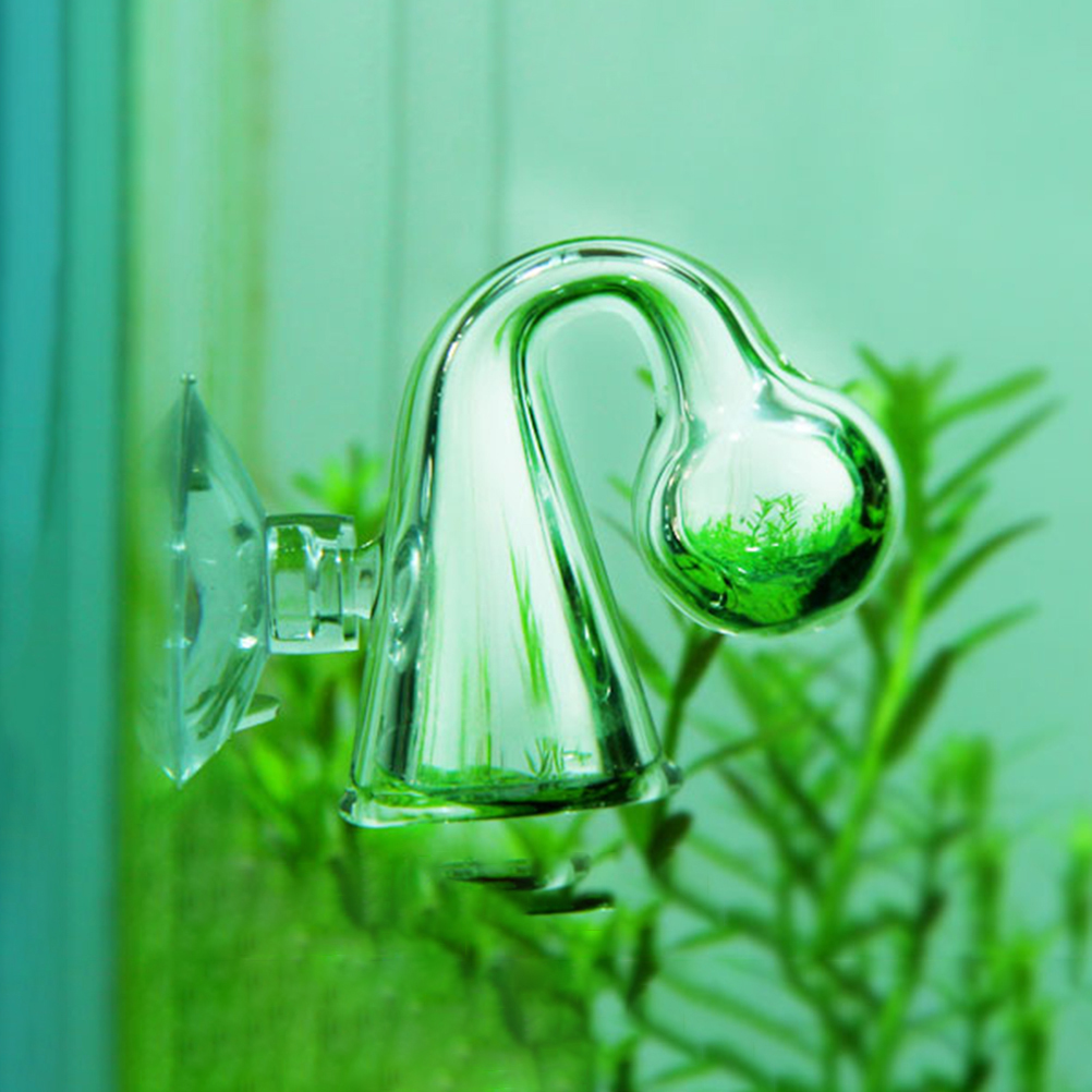 Fish Tank CO2 Diffuse Glass Dr - Aquarium Planting Ideas 评论和价格