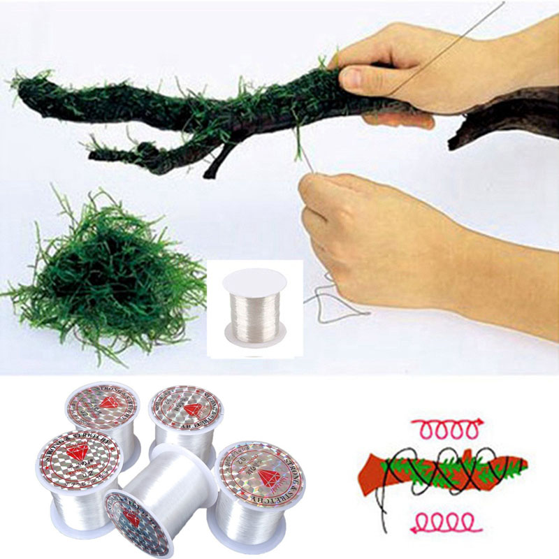 120M DIY Moss Line Binding Lin - Aquarium Plant Echinodorus 评论和价格