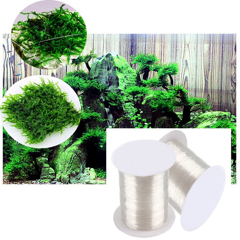 120M DIY Moss Line Binding Lin - Aquarium Plant Echinodorus 评论和价格