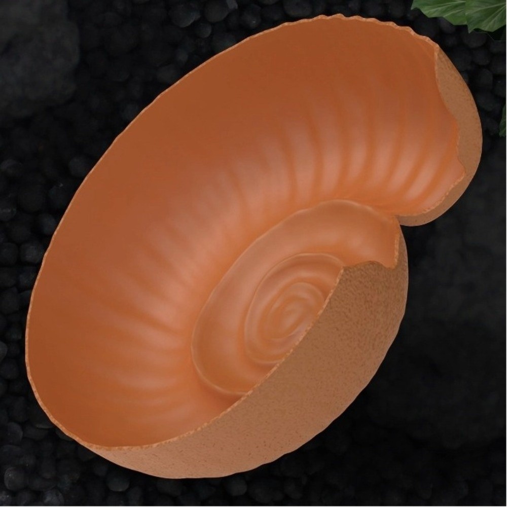 Ammonite Shape Reptile Hidden  - Aquarium Planting Ideas 评论和价格