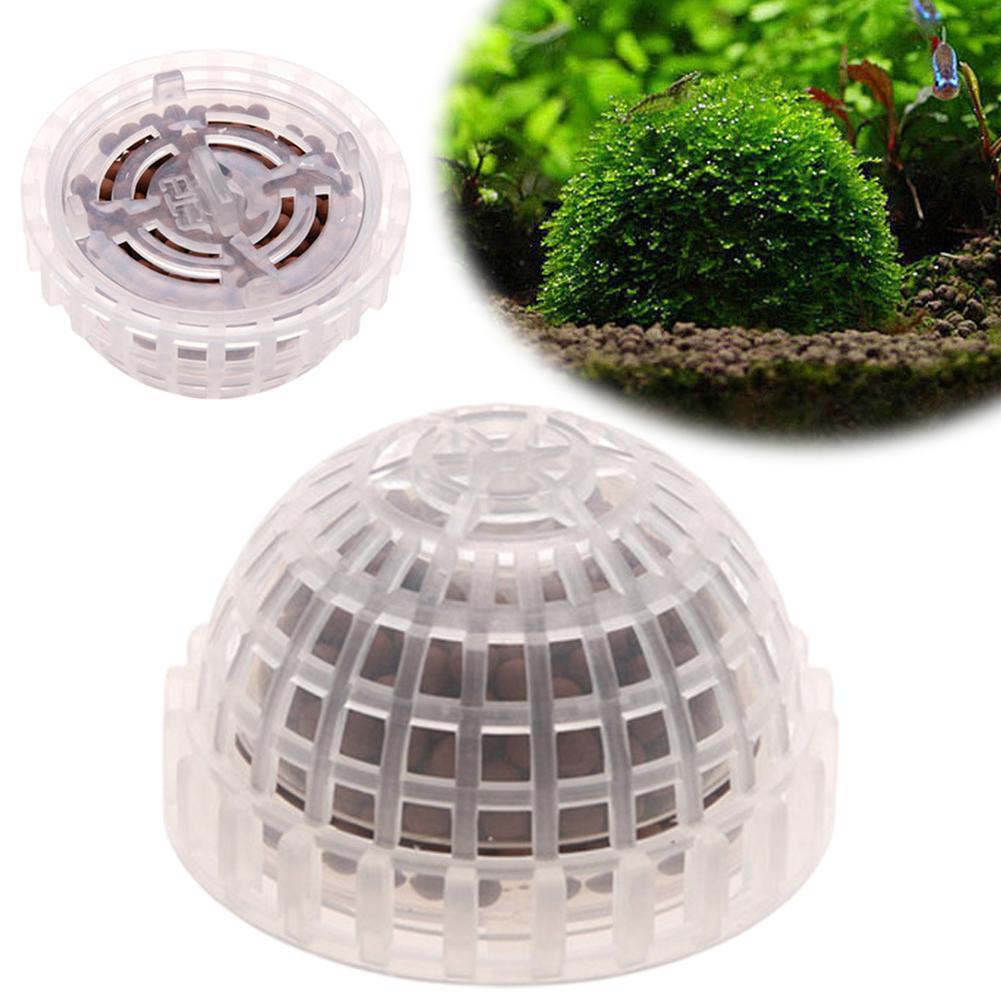 1pc Aquatic Pet Supplies Decor - Aquarium Plant Echinodorus 评论和价格