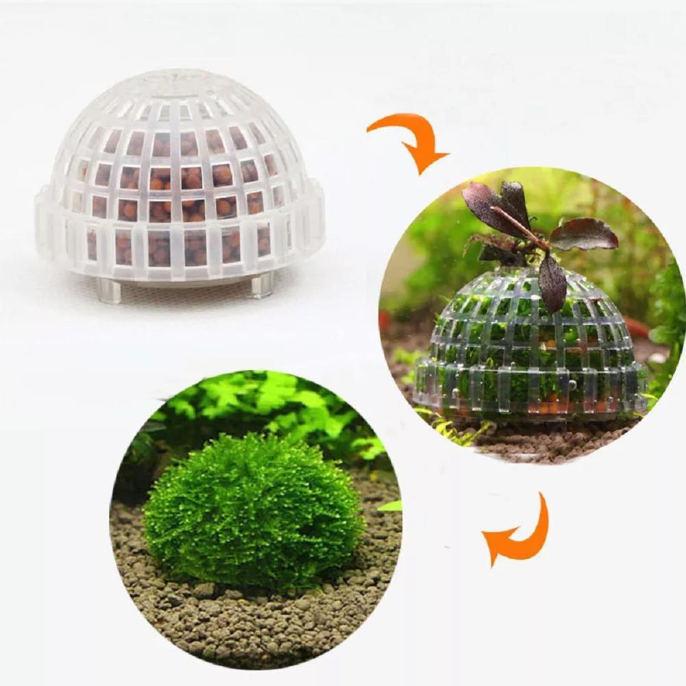 1pc Aquatic Pet Supplies Decor - Aquarium Plant Echinodorus 评论和价格