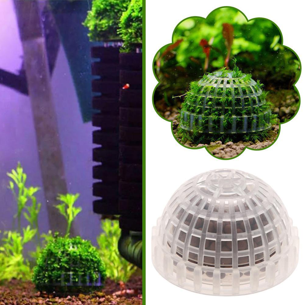1pc Aquatic Pet Supplies Decor - Aquarium Plant Echinodorus 评论和价格