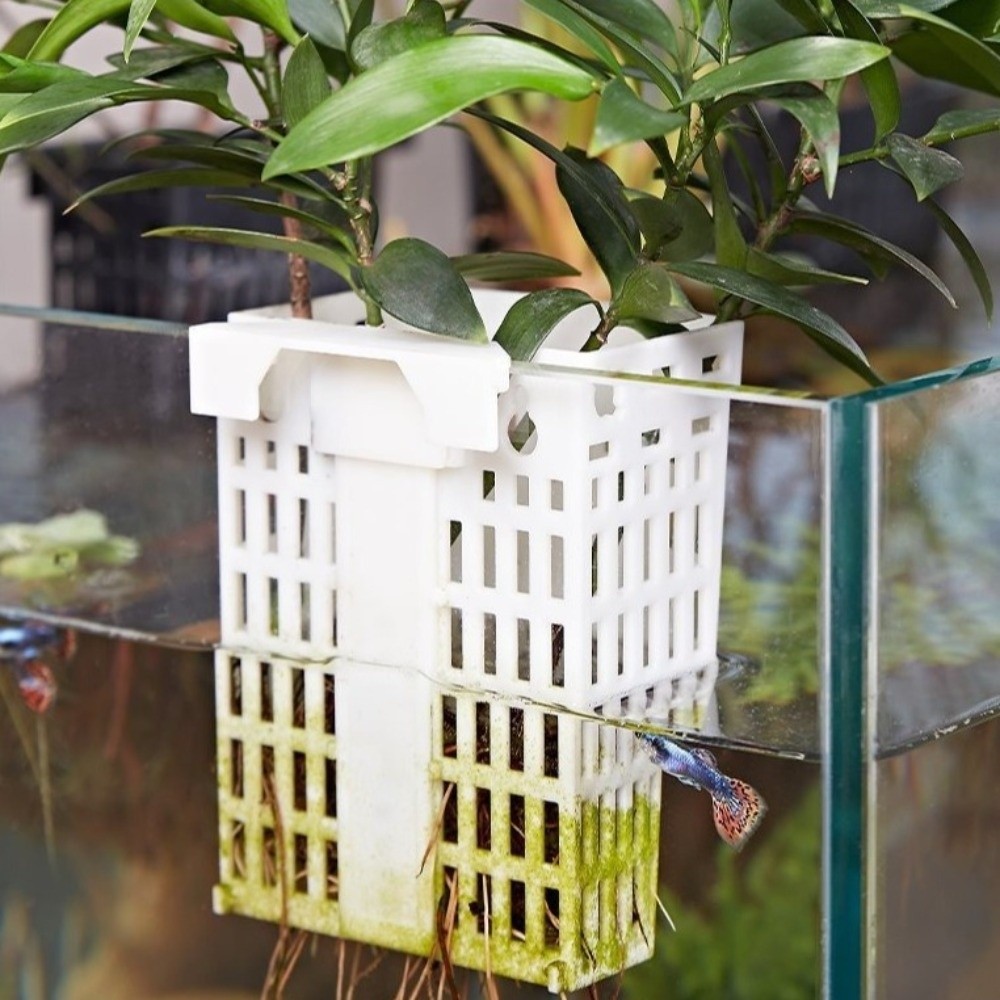 Wall Hanging Aquatic Plant Hol - Aquarium Planted Wall 评论和价格