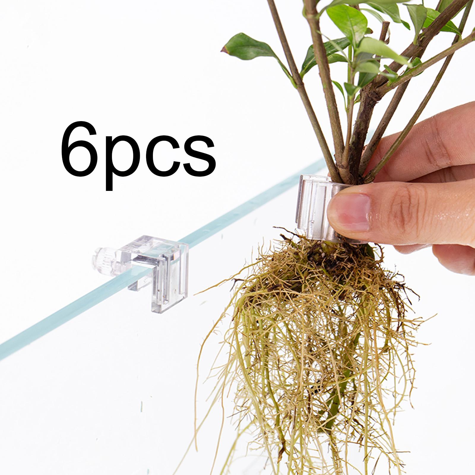 Durable Transparent Plant Hold - Aquarium Planted Wall 评论和价格