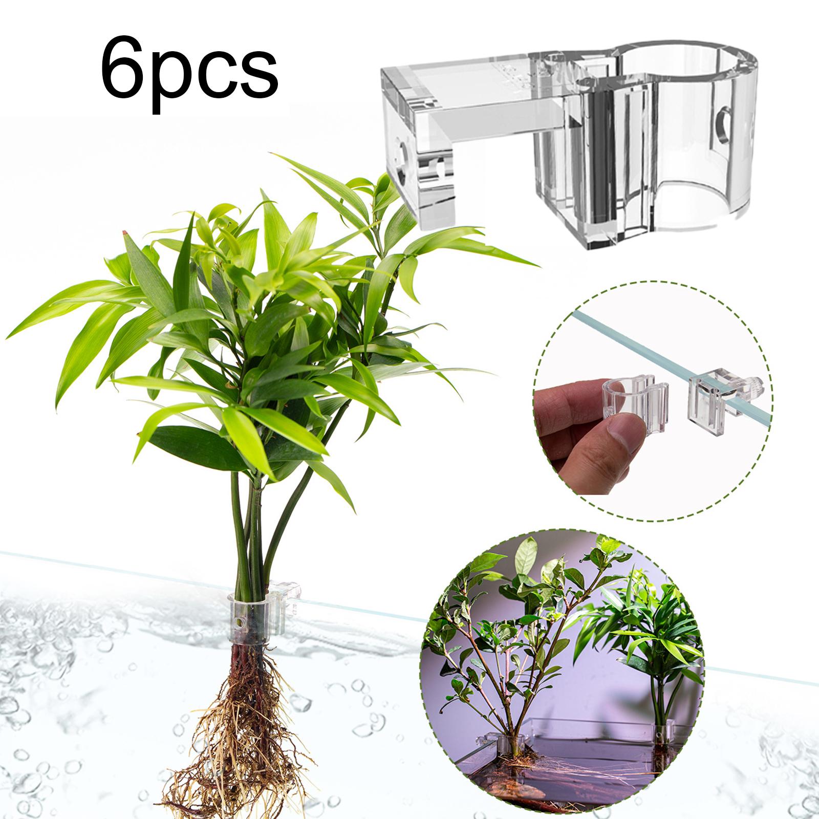 Durable Transparent Plant Hold - Aquarium Planted Wall 评论和价格