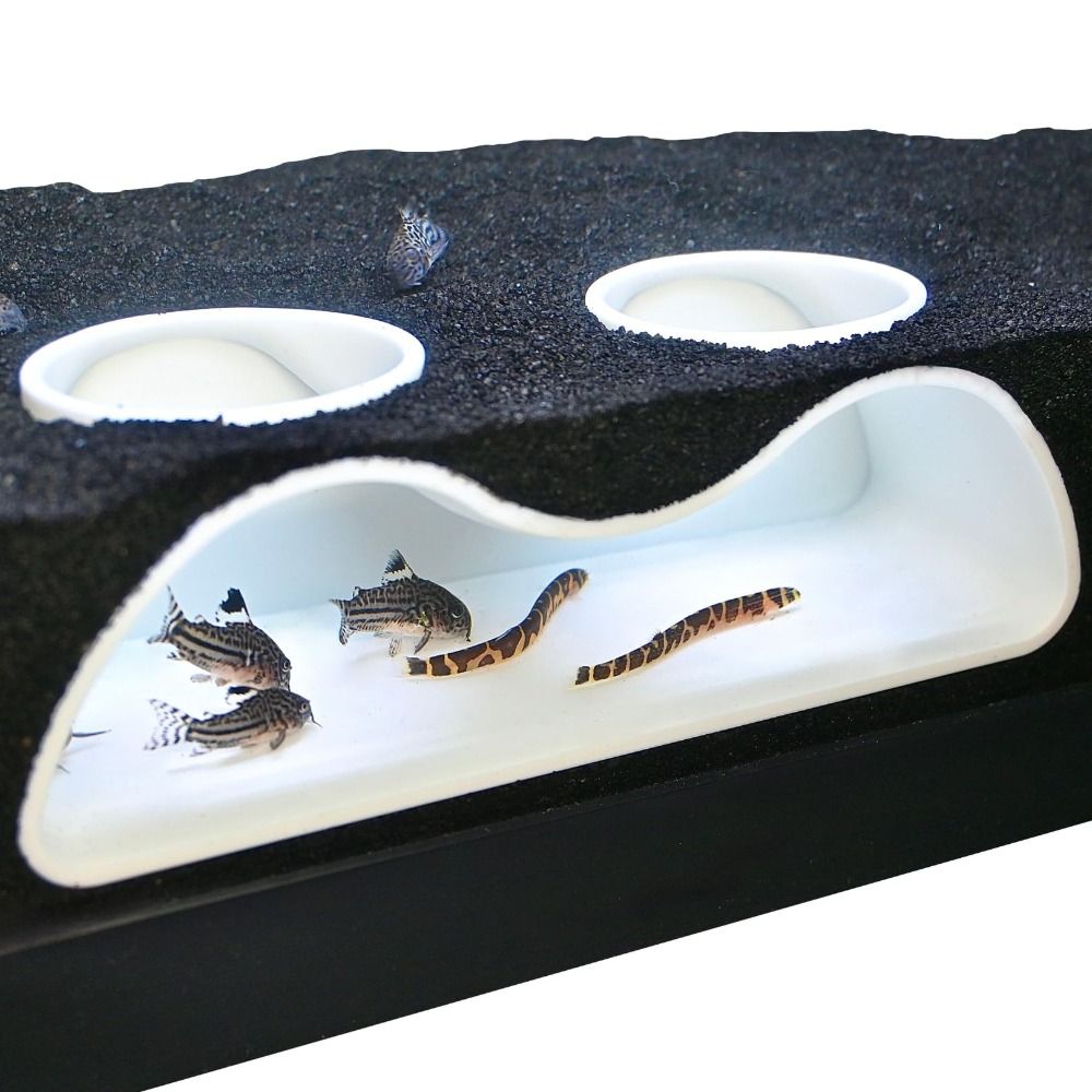 Multifunctional Aquarium Under - Aquarium Planet 评论和价格