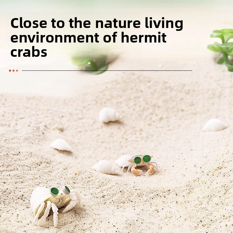 FKSC Hermit Crab Sand & Aquari - Aquarium Sand White 评论和价格