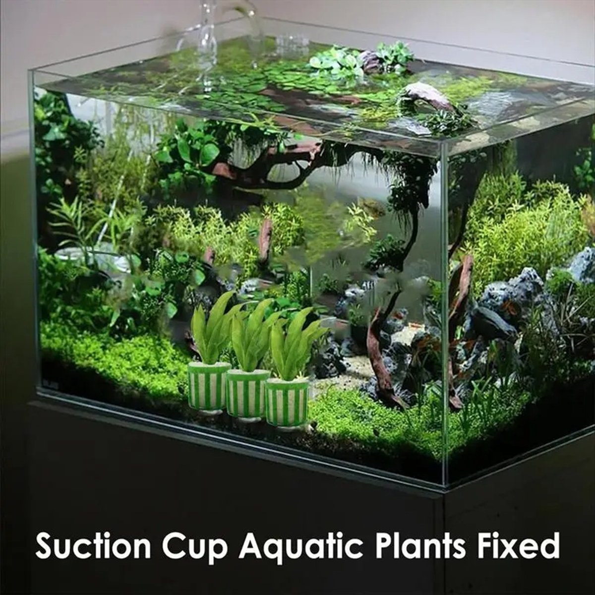 ABNQ Aquatic Plant Fixed Holde - Planted Aquarium Tool Kit 评论和价格