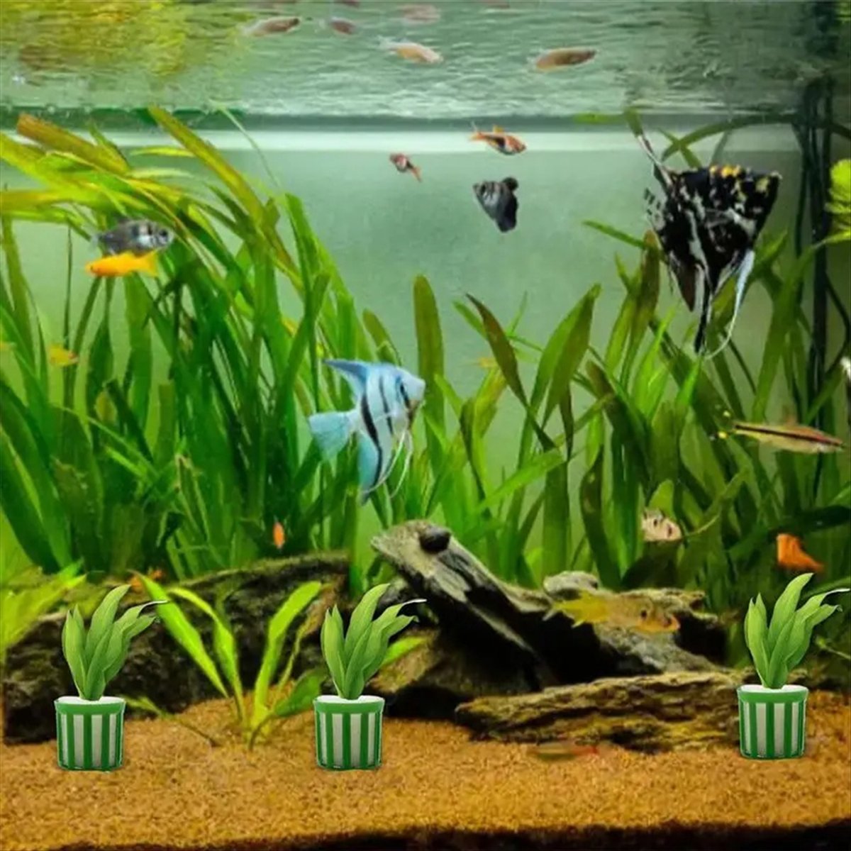 ABNQ Aquatic Plant Fixed Holde - Planted Aquarium Tool Kit 评论和价格