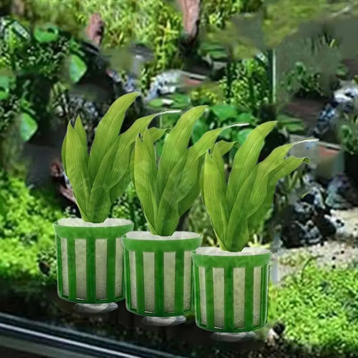 ABNQ Aquatic Plant Fixed Holde - Planted Aquarium Tool Kit 评论和价格