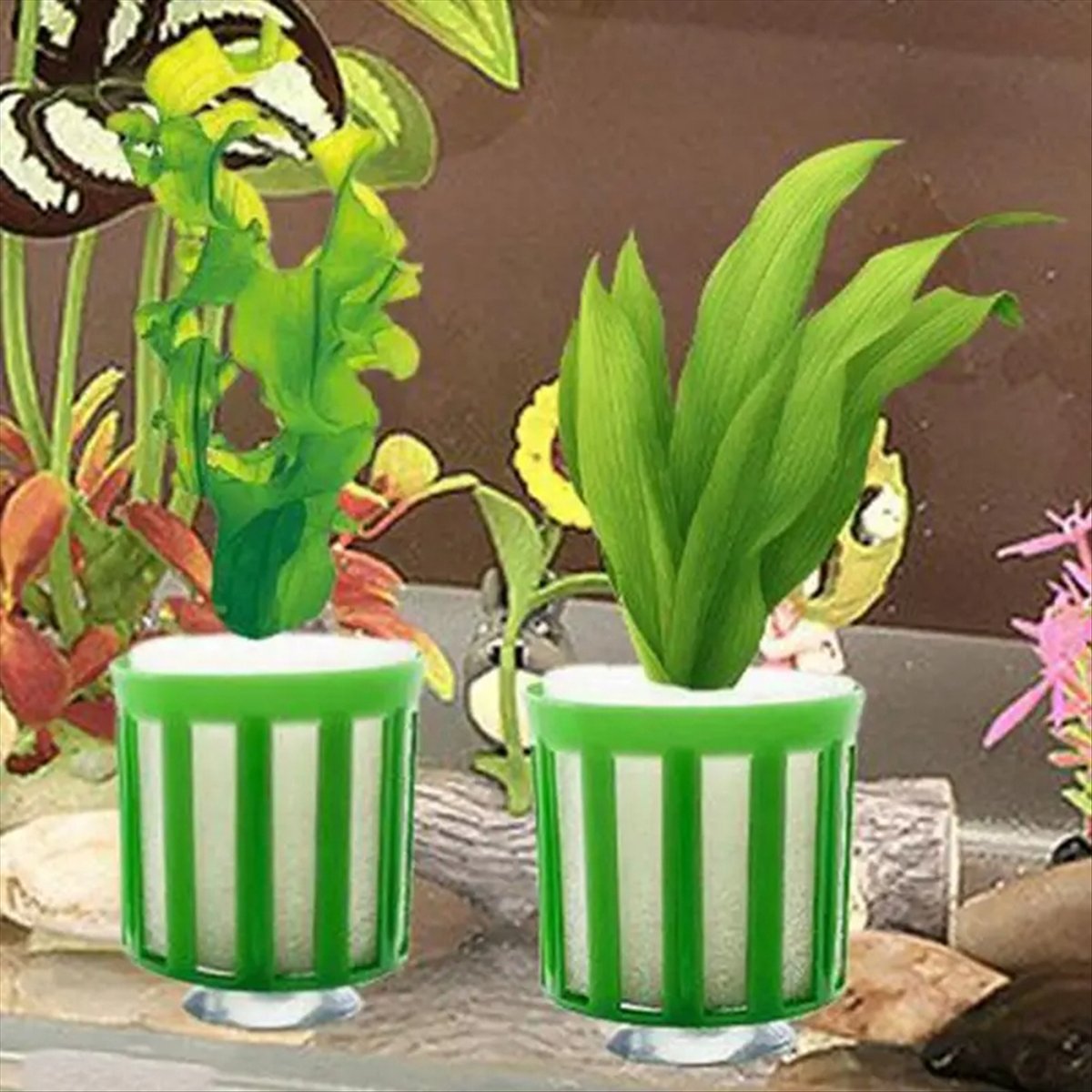 ABNQ Aquatic Plant Fixed Holde - Planted Aquarium Tool Kit 评论和价格