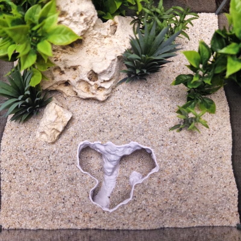 Eco-Friendly Aquarium Ornament - Aquarium Planet 评论和价格