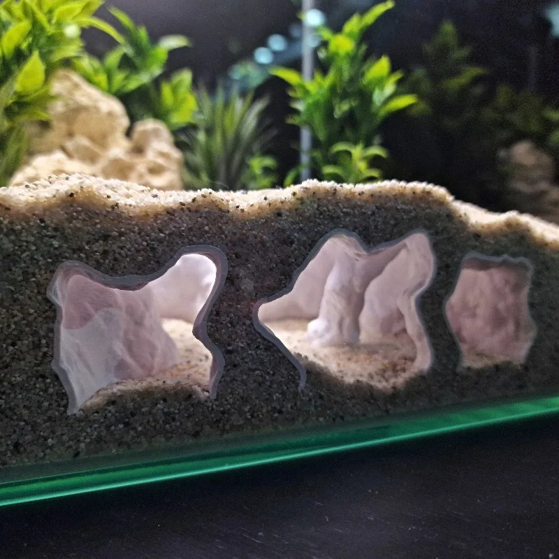 Eco-Friendly Aquarium Ornament - Aquarium Planet 评论和价格