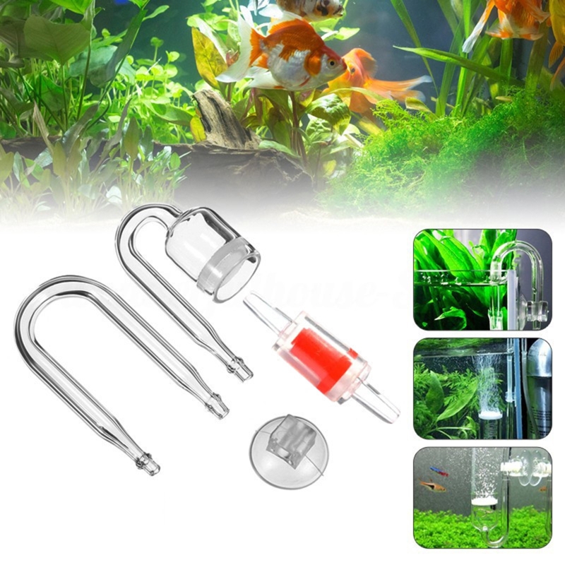 4pcs Set DIY CO2 Diffuser For  - Aquarium Plant Echinodorus 评论和价格
