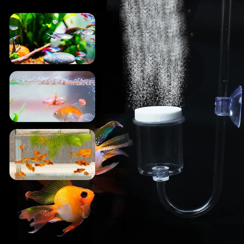4pcs Set DIY CO2 Diffuser For  - Aquarium Plant Echinodorus 评论和价格