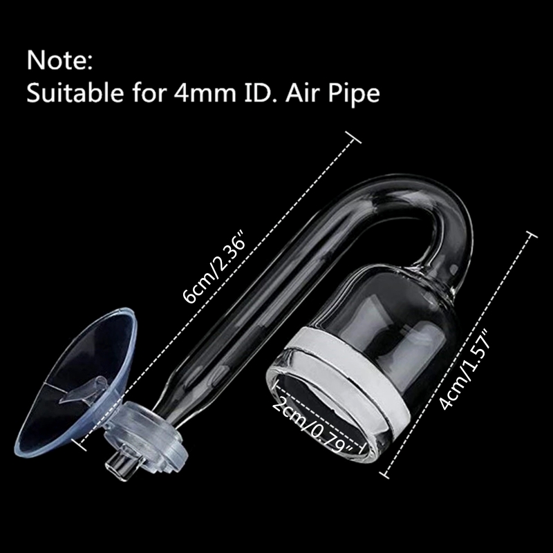 4pcs Set DIY CO2 Diffuser For  - Aquarium Plant Echinodorus 评论和价格