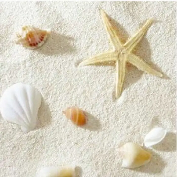 Naturelle Philippine Sand Cora - Aquarium Sand White 评论和价格