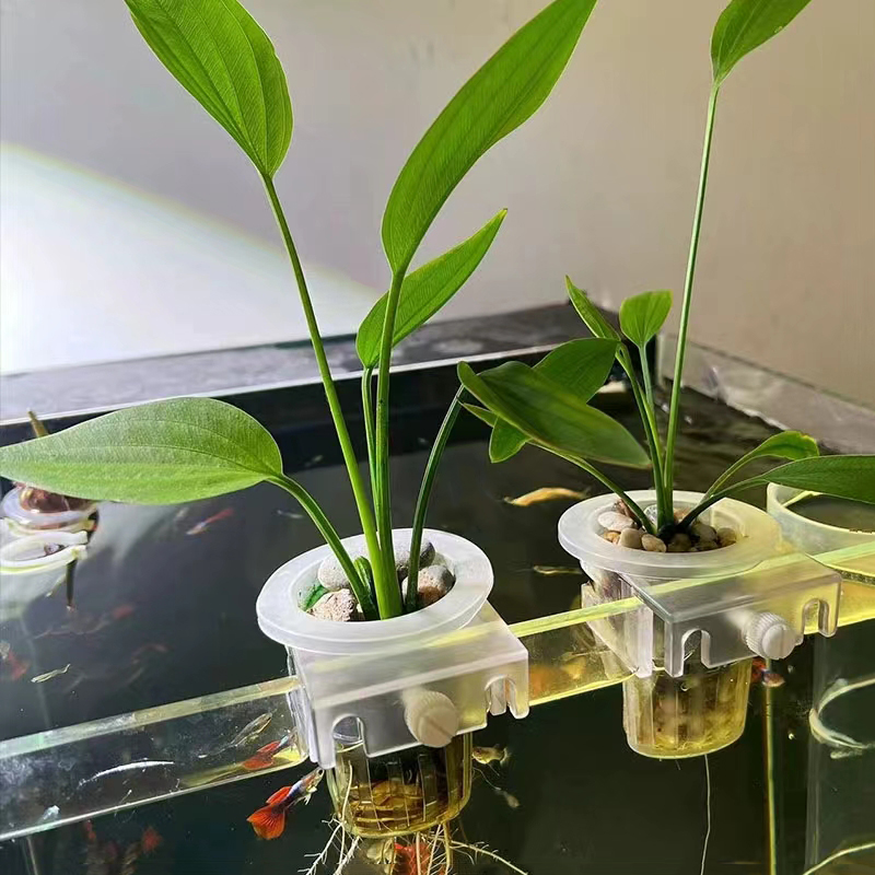 Aquarium Planting Basket Hydro - Aquarium Planted Wall 评论和价格