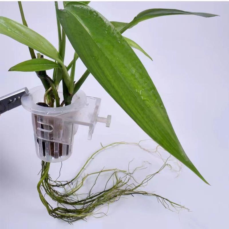 Aquarium Planting Basket Hydro - Aquarium Planted Wall 评论和价格