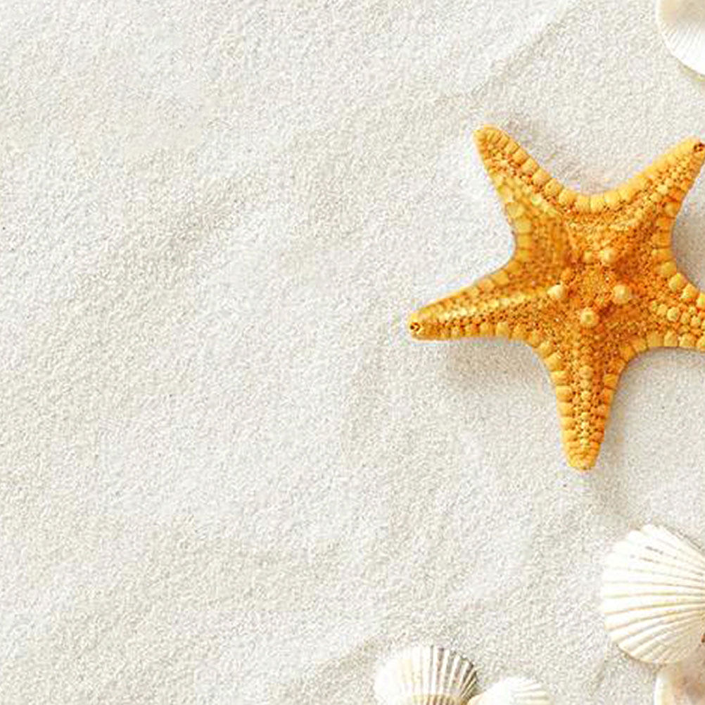 5Packs White Sand Aquarium Dec - Aquarium Sand White 评论和价格