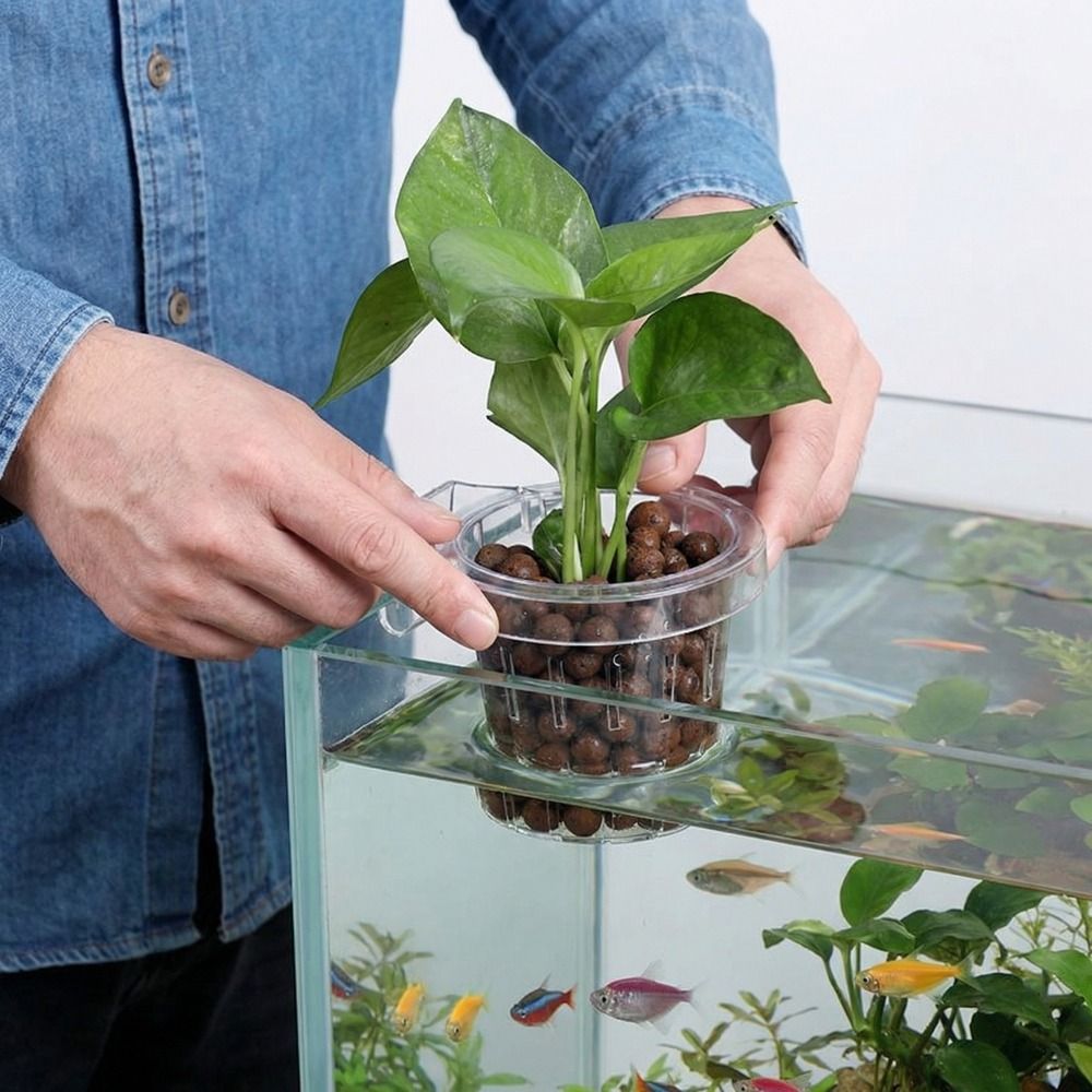 Transparent Fish Tank Grass Cu - Aquarium Planted Wall 评论和价格