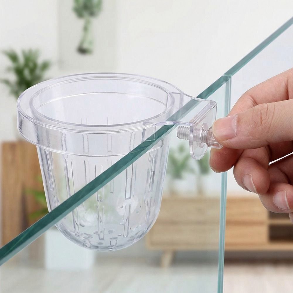 Transparent Fish Tank Grass Cu - Aquarium Planted Wall 评论和价格